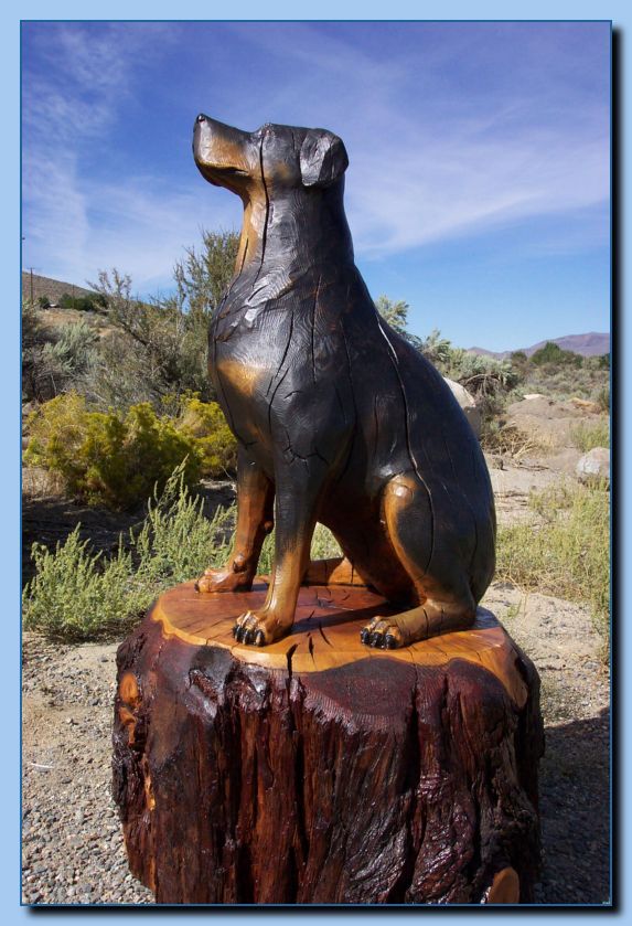 2-54 dog-rottweiler-archive-0002
